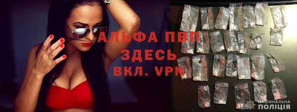 ПСИЛОЦИБИНОВЫЕ ГРИБЫ Беломорск