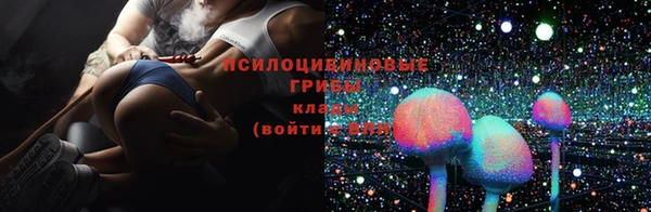кристаллы Белокуриха