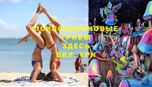 ПСИЛОЦИБИНОВЫЕ ГРИБЫ Беломорск